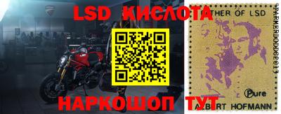 спайс Кунгур