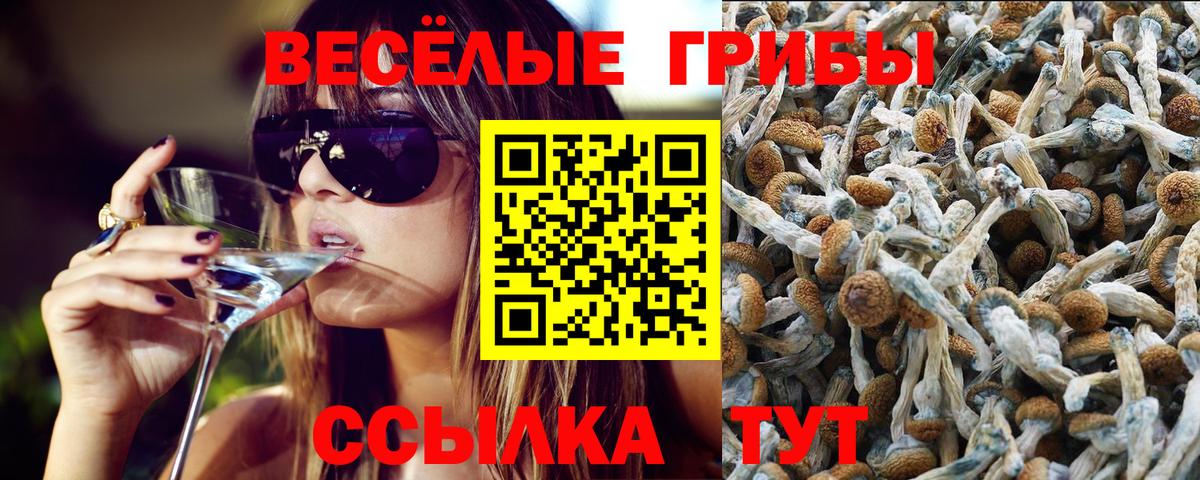 Галлюциногенные грибы ЛСД Курск