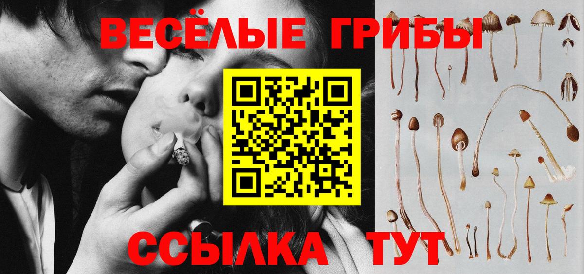 Курск  хочу наркоту  Галлюциногенные грибы Psilocybine cubensis  Вход с VPN  Галлюциногенные грибы GOLDEN TEACHER 